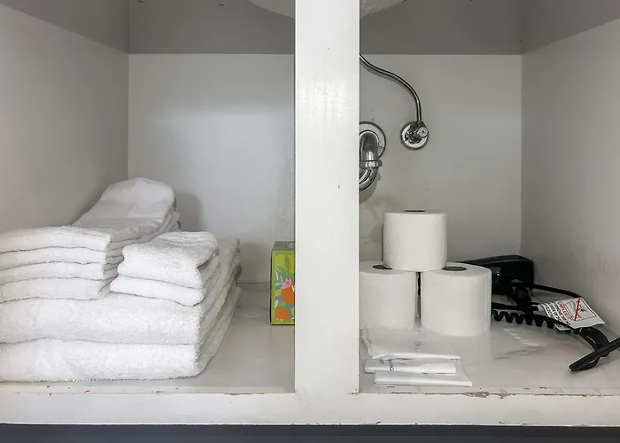 Downtown With Free In & Out Parking 4 Apartment *